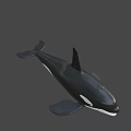 Realistic Black And White Orca Swimming In Blue Background