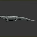 Realistic 3D Rendered Gray Lizard With Detailed Textured Skin On Dark Background