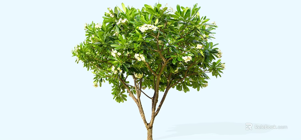 Lush Arbor With Green Leaves And White Flowers In Natural Setting 3d model 