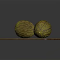 Two Fresh Yellow Green Striped Melons Placed on a Wooden Cutting Board