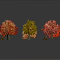 Vibrant Trees With Different Colored Red Orange Yellow Green Leaves On White Background