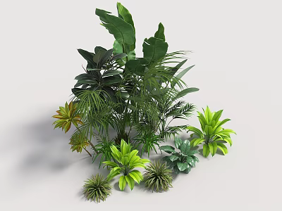 Indoor Plant Combination With Various Green Foliage And Different Leaf Shapes 3d model