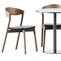Modern Table and Chair Set With Wooden Backrest Chairs Round Table and Metal Legs