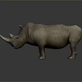 Realistic Rhinoceros 3D Model With Single Horn And Grayish Brown Skin Standing Pose