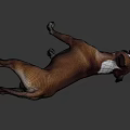 Brown And White Dog Standing With Open Mouth And Tongue Out Against Gray Background