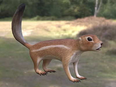 Brown Reptile With White Stripes And Long Tail In Natural Grass Habitat 3d model