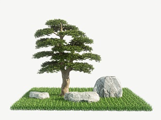 Pine stone grass 3d model