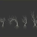 Serene Leafless Trees Landscape Featuring Exposed Roots Gray Gradient Background And Ground Reflections