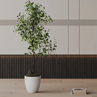 Modern Potted Plant 3d model