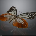 Vibrant Red and Blue Butterfly with White Wings and Black Spots on Dark Background