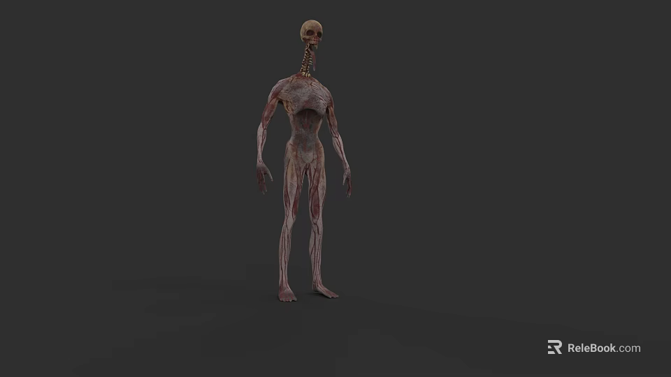 3D Monstrous Humanoid Creature Model With Skeleton Head Emaciated Body And Bloodstained Skin 3d model 