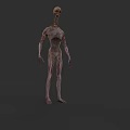 3D Monstrous Humanoid Creature Model With Skeleton Head Emaciated Body And Bloodstained Skin