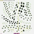 Animal Paw Prints Wall Decor With Various Sizes And Black Design On White Background