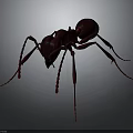 Realistic Red Ant 3D Rendered Close Up with Detailed Body on Dark Background