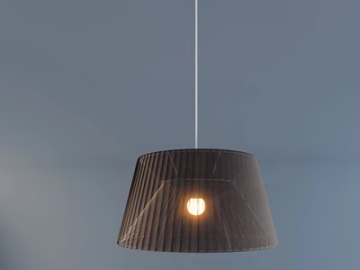 Modern Pendant Light With Dark Pleated Design And Lit Bulb Hanging From Light Blue Ceiling 3d model