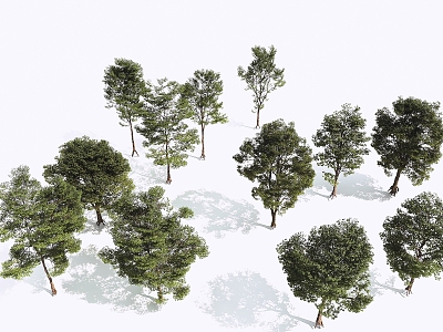 Tree Landscape Tree Street Tree Combination Tree 3d model