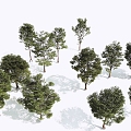 Tree Landscape Tree Street Tree Combination Tree 3d model