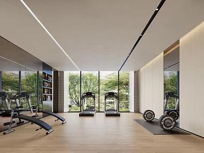 Modern Fitness Center Interior With Diverse Equipment And Natural Light 3d model