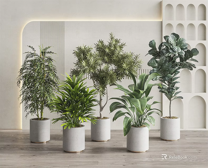 Various Indoor Potted Plants With Different Green Leaves In Modern Minimalist Pots For Home Decor 3d model 