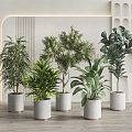 Modern potted plants 3d model