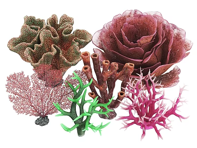 Colorful Aquatic Plants With Diverse Shapes And Textures For Aquariums 3d model