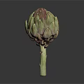 Fresh Whole Artichoke With Green Purple Bracts And Stem On Dark Background