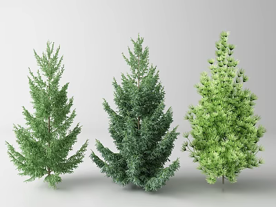 Three Different Evergreen Trees With Varied Foliage Shapes And Colors 3d model