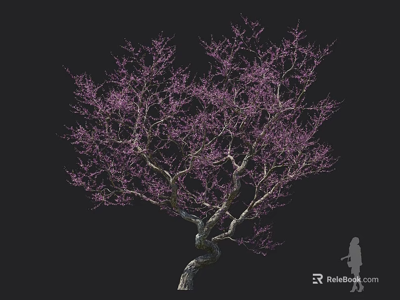 Beautiful Ornamental Tree with Purple Blossoms Twisted Trunk and Person Silhouette 3d model 