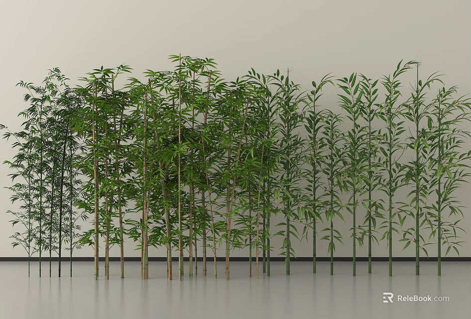 Various Bamboo Species With Lush Green Leaves In Indoor Display Arrangement 3d model 