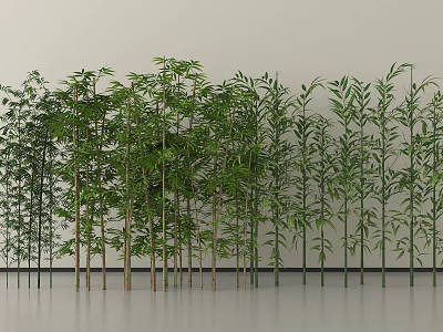Various Bamboo Species With Lush Green Leaves In Indoor Display Arrangement 3d model