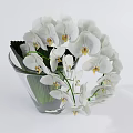 Elegant Transparent Glass Vase With White Orchids And Green Leaves For Home Decor