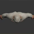 White Fur Muscular Animal Figure With Orange Belly In Standing Pose