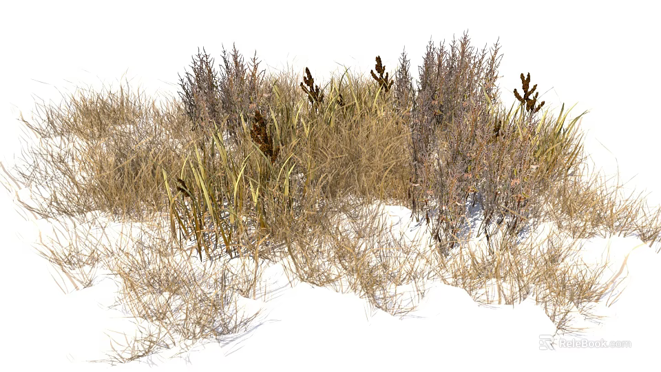 Various Dried Grasses And Herbaceous Plants In Snowy Winter Landscape 3d model 