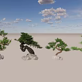 Ornamental Arbor Trees with Different Shapes on Stone Bases Against Blue Sky and White Clouds