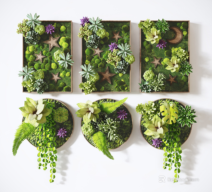 Living Plant Wall Design with Succulents Ferns Hanging Greenery Starfish Moon and Circular Wood Frames 3d model 