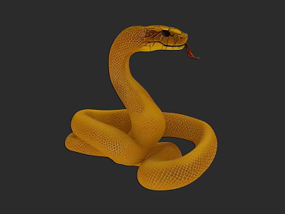 Realistic Yellow Scaled Snake Reptile Coiled With Extended Tongue On Dark Background 3d model