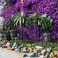 Green Plant Wall With Purple Flowers Hanging Vines And Diverse Green Plants On Stone Ground