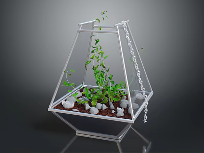 Green Plants Growing in Hanging Glass Terrarium with Small Stones and Soil 3d model