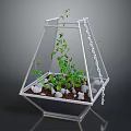 Green Plants Growing in Hanging Glass Terrarium with Small Stones and Soil
