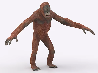 3D Rendered Orangutan Figure With Extended Limbs 3d model