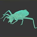 Brown Insect Specimen With Long Legs Textured Exoskeleton On Dark Background 3d model