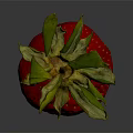 Juicy Fresh Ripe Strawberry With Green Leaves On Gray Background