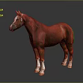 Chestnut Horse With White Legs And Hooves Wearing Bridle Isolated On Gray Background