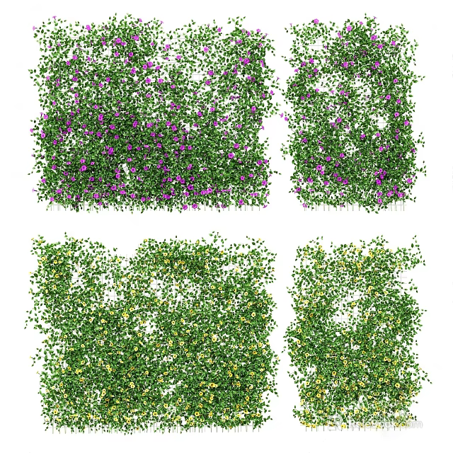 Lush Green Vines With Purple And Yellow Flowers For Garden Decoration 3d model 