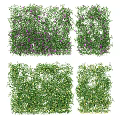 Lush Green Vines With Purple And Yellow Flowers For Garden Decoration