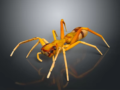 Yellow and Brown Spider With Eight Long Legs On Dark Background 3d model