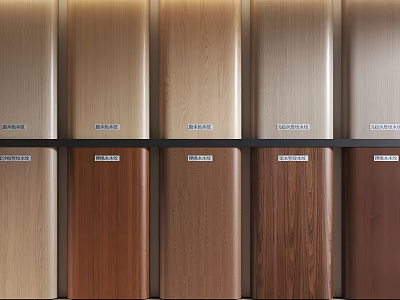 Various Wooden Panel Samples With Different Wood Grain Shades And Color 3d model