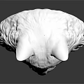 Silver Cat Head Sculpture With Detailed Fur Texture On Dark Reflective Background
