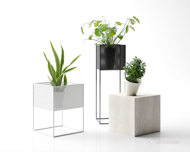Potted Bonsai Green Leafy Plants On White Metal Stand Black Holder And Wooden Cube Base 3d model 