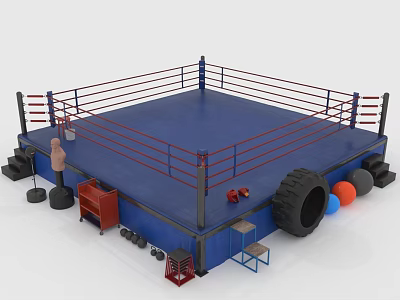 Professional Sports Equipment Setup With Boxing Ring Punching Bag Dumbbells Training Tire And Colored Balls 3d model